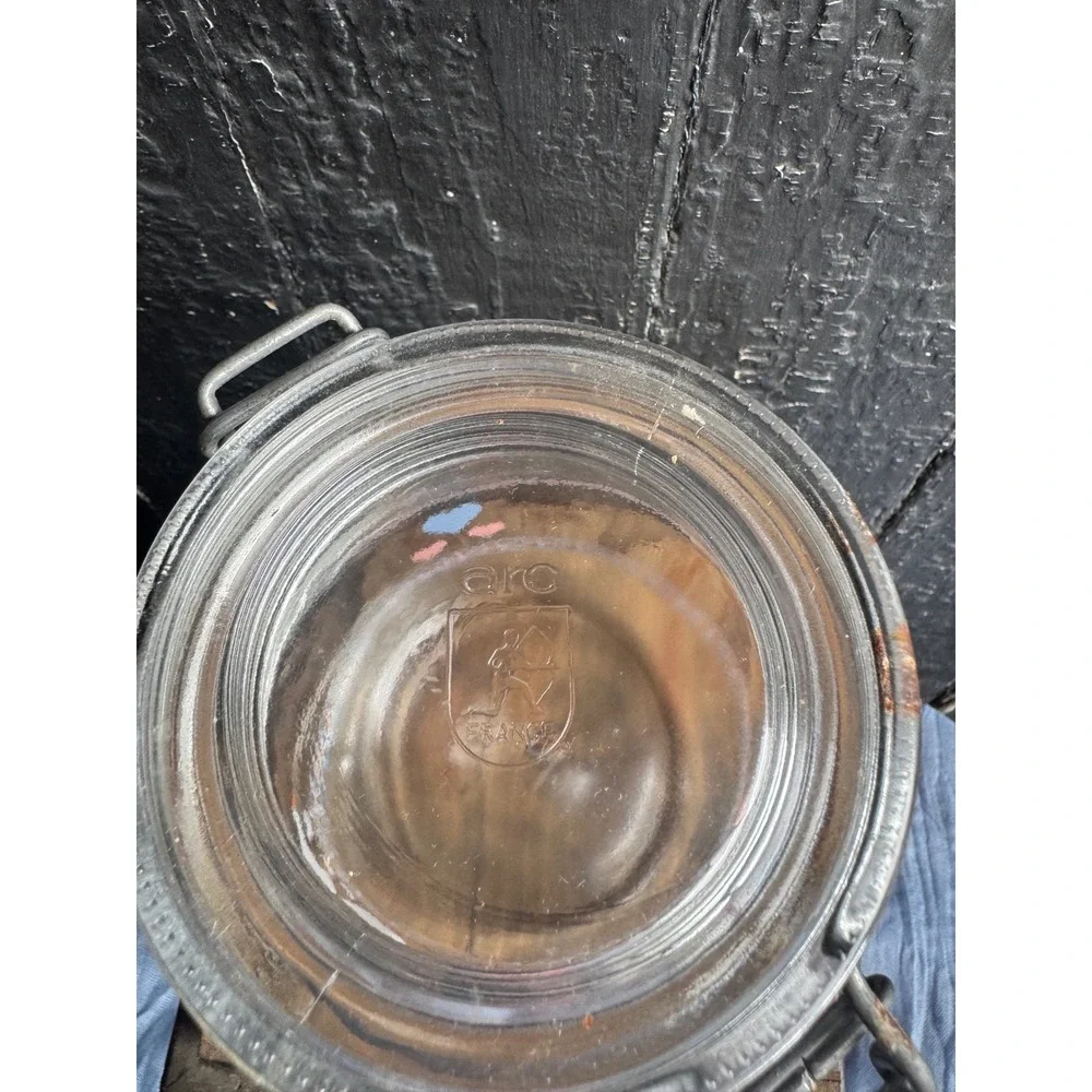 Vintage Arc France Goose Family Glass Canister Wire Bail Jar Hearts 3/4L
